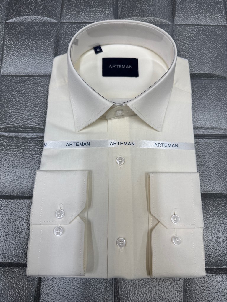 پیراهن مردانه آستین بلند تترون ساده نباتی روشن homaymen