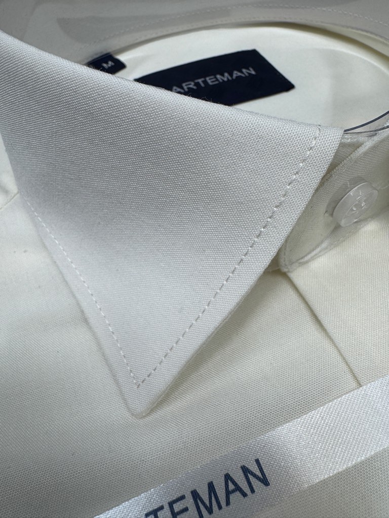 پیراهن مردانه آستین بلند تترون ساده نباتی روشن homaymen